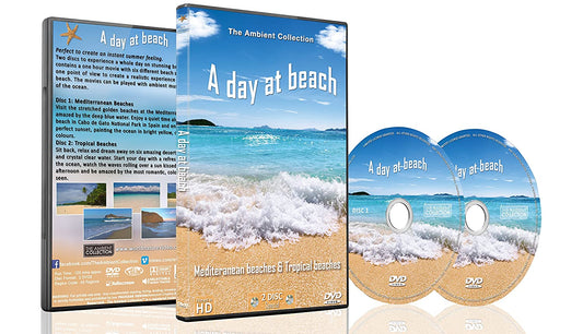 A Day At The Beach