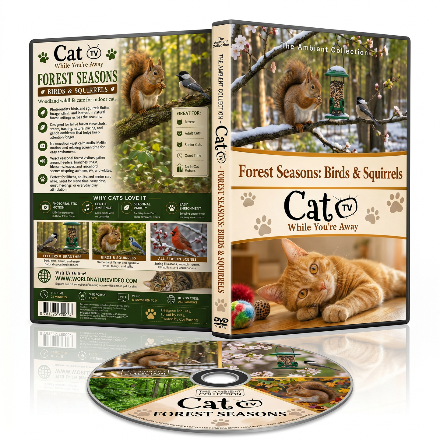 Cat TV - Forest Seasons - Birds & Squirrels - While You're Away