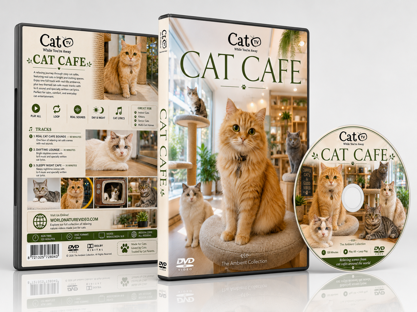 Cat TV - Cat Cafe - While You're Away