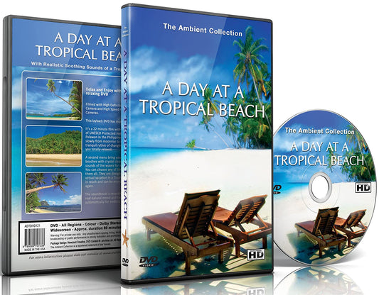 A Day at the Tropical Beach