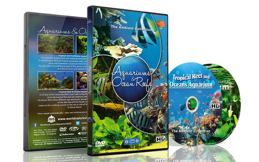 Aquariums & Ocean Reefs