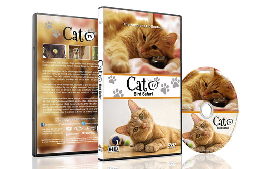 Cat TV