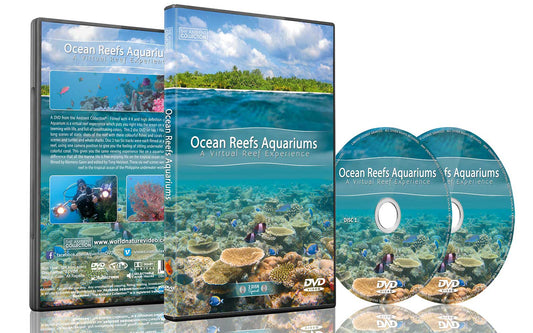 Ocean Reefs Aquariums