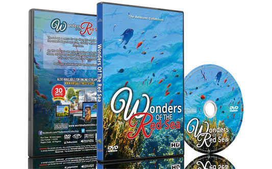 Wonders of the Red Sea