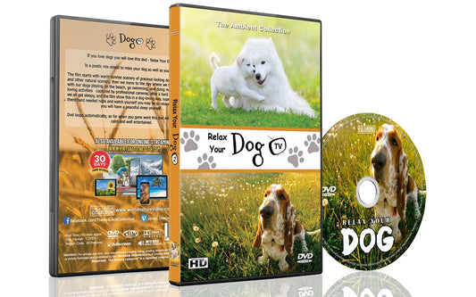 Relax Your Dogs