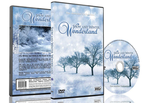 Snow and Winter Wonderland