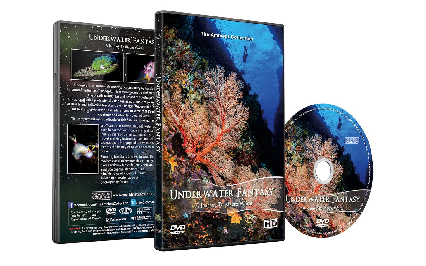 Underwater Fantasy
