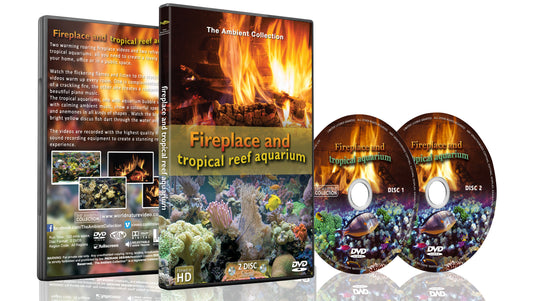 Fireplace - Aquarium