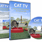 CAT TV – Playful Bird Encounters for Curious Cats