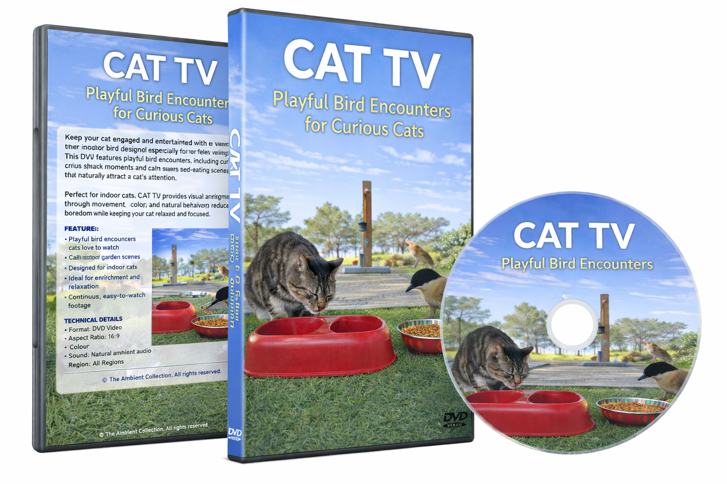 CAT TV – Playful Bird Encounters for Curious Cats