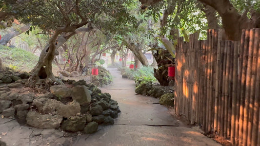 Virtual Walk - Land of Angels Waterfall Park - Thailand