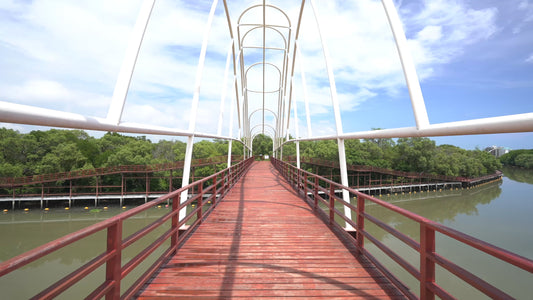 Nature Walk - Mangrove in Ranong Thailand