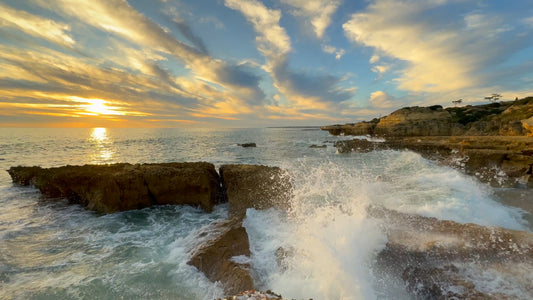 Winter Waves Compilation | Nature Sounds