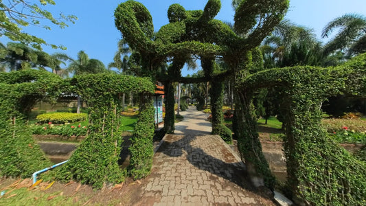 Virtual Walk - Palm Gardens