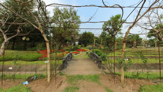 Virtual Walk - Tropical Gardens