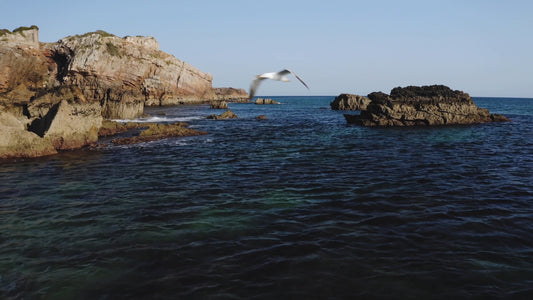 Virtual Rowing - Limestone Cliffs - Sagres Portugal