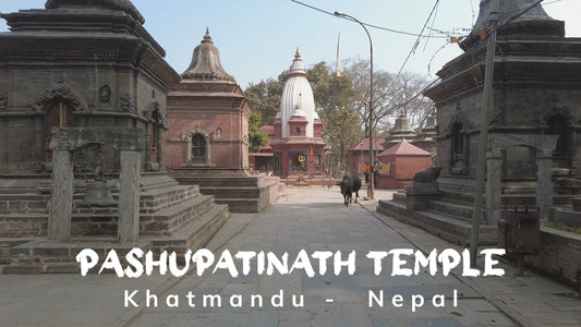 Virtual Walk - Pashupatinath Temple - Kathmandu Nepal