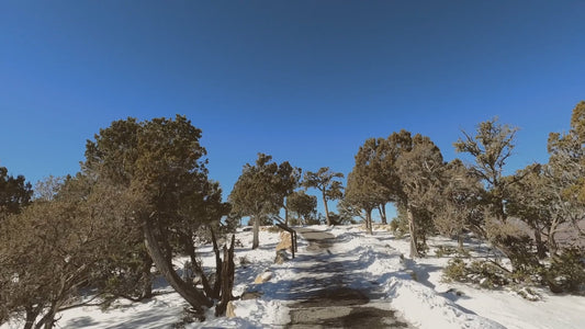 Virtual Walks - Grand Canyon in Snow USA