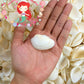 Batotoy Kulot | Granular Ark Sea Shells