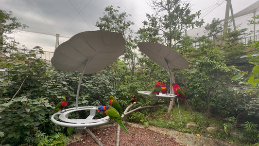 ANIMAL TV - Lorry Keet Explorer Walk - Bird Paradise - Singapore