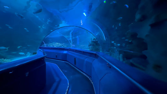 AQUARIUM TV - Virtual Walk - Chiang Mai Sea Tunnel and Aquarium
