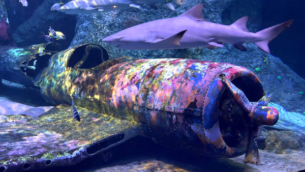 AQUARIUM - War Plane Wreck Aquarium and Sharks