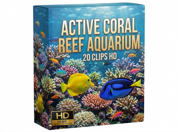 Creator Pack - 20 single clips of Active Coral Reef Aquarium (HD)