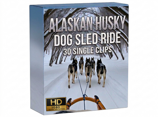 Creator Pack – 30 single clips of Alaskan Husky - Dog Sled Ride (HD)