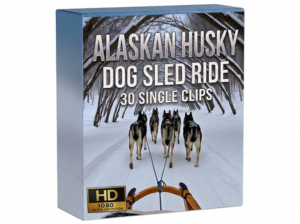 Creator Pack – 30 single clips of Alaskan Husky - Dog Sled Ride (HD)