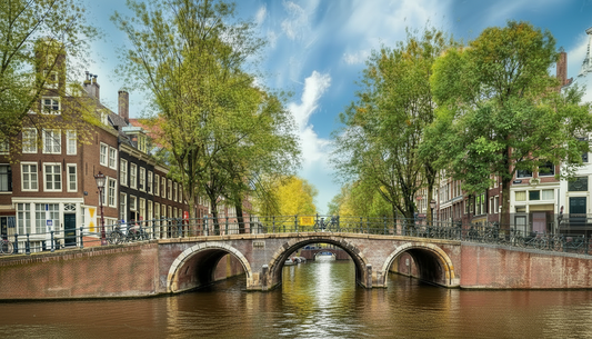 Virtual Rowing - Amsterdam Netherlands (Back View)