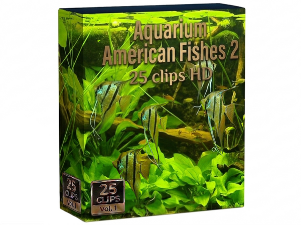 Creator Pack - 25 single clips of Aquarium American Fishes  2 (HD)