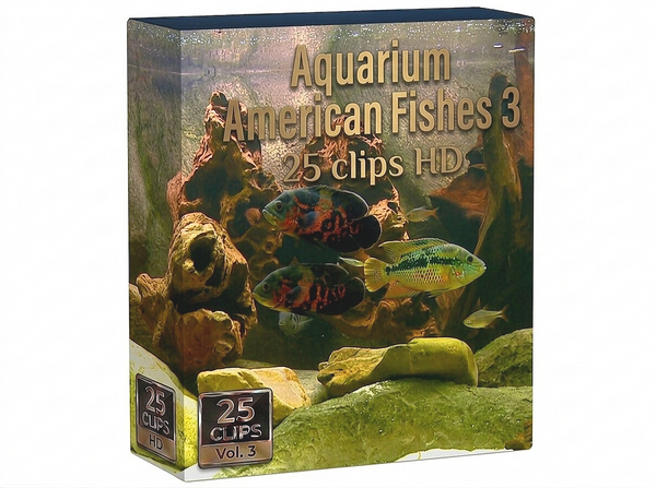 Creator Pack - 25 single clips of Aquarium American Fishes 3 (HD)