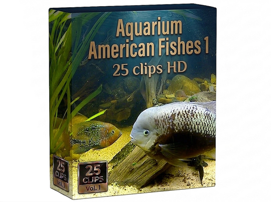Creator Pack - 25 single clips of Aquarium American Fishes  1 (HD)