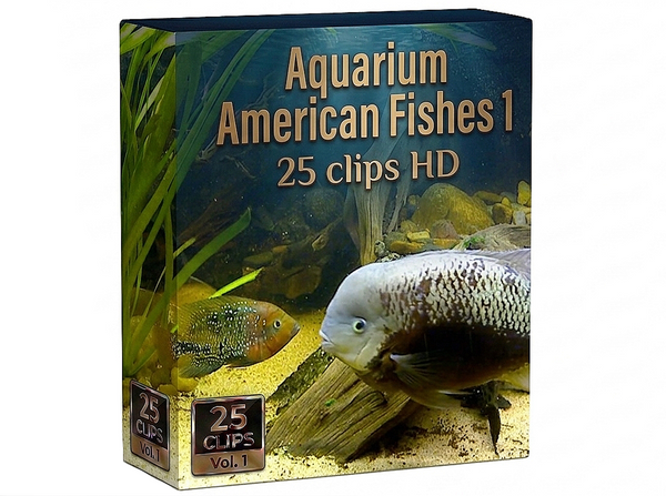 Creator Pack - 25 single clips of Aquarium American Fishes  1 (HD)
