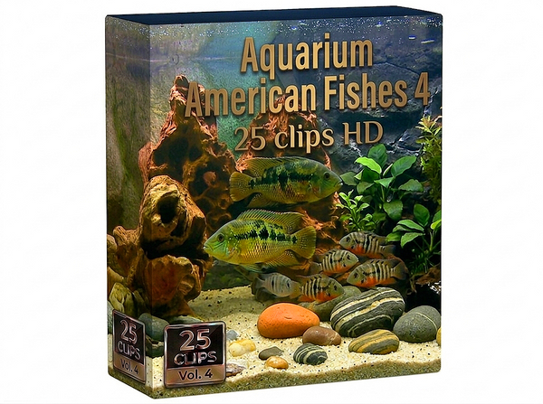 Creator Pack - 25 single clips of Aquarium American Fishes 4 (HD)
