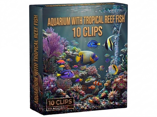 Creator Pack - 10 single clips of Aquarium With Tropical Reef Fish (HD)