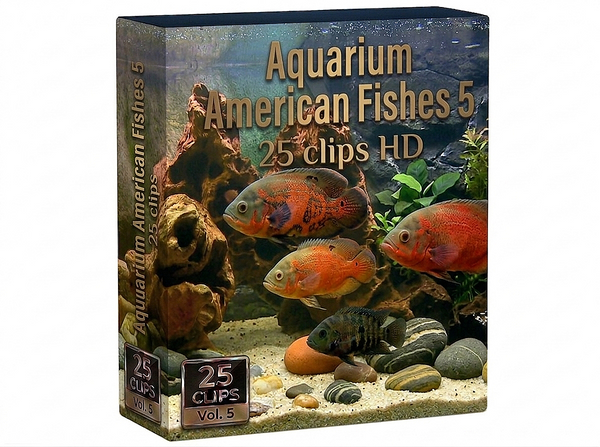 Creator Pack - 25 single clips of Aquarium American Fishes 5 (HD)