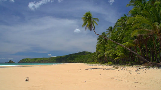 BEACH TV - A Day at the Tropical Beach with Waves Sound and Music