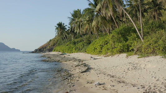 BEACH TV - Above and Under the Waves with Sea Sounds 2