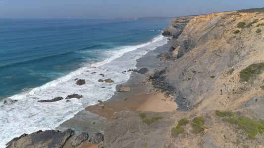 BEACH TV - Atlantic Waves - Bird Flight with Waves Sounds