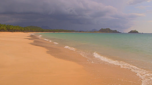 BEACH TV - Dark Sky Beach