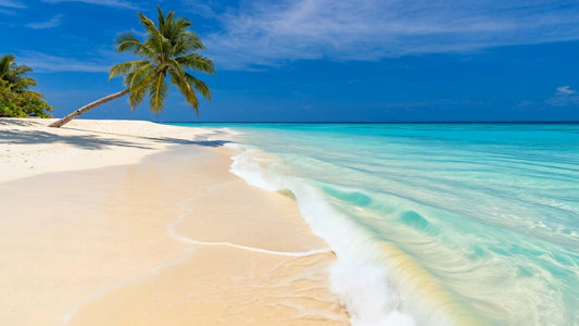 BEACH TV - Maldives Beaches 1