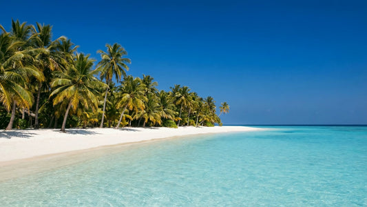 BEACH TV - Maldives Beaches  3