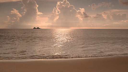 BEACH TV - Silver Beach with Wave Sounds