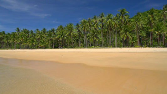 BEACH TV - Tropical Beach from Sea View