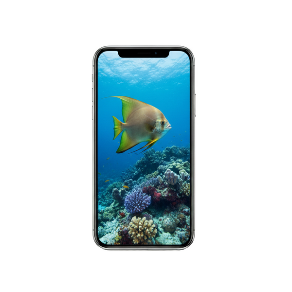 Vertical Creator Pack - 10 single clips of Batfish (4K UHD)