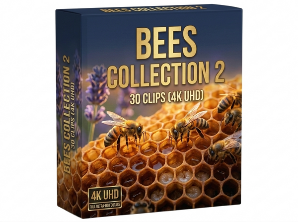 Creator Pack - 30 single clips of Bees Collection 2 (4K UHD)