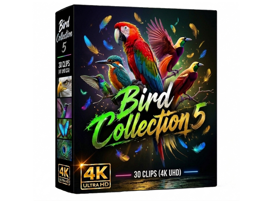 Creator Pack - 30 single clips of Birds Collection 5 (4K UHD)