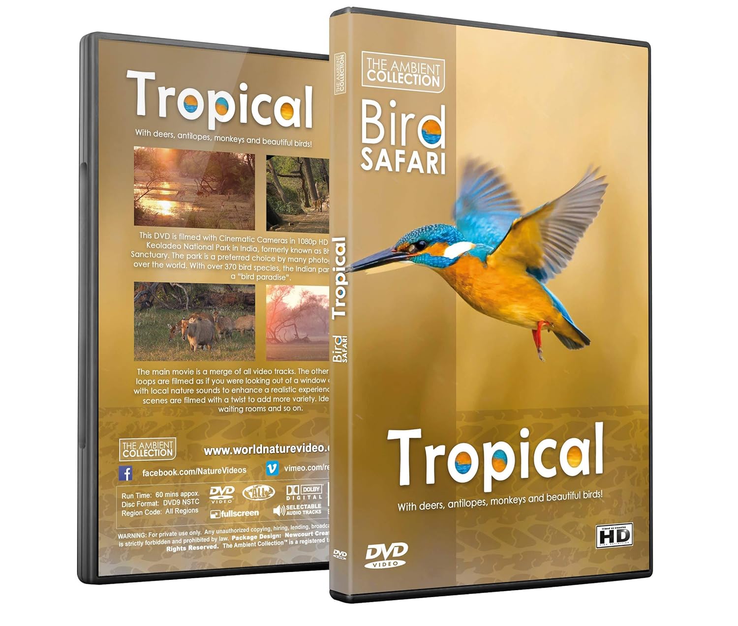 Spring Bird Dvd Bird Safari - Tropical Bird Safari – World Nature Video