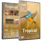 Bird Safari - Tropical Bird Safari Dvd